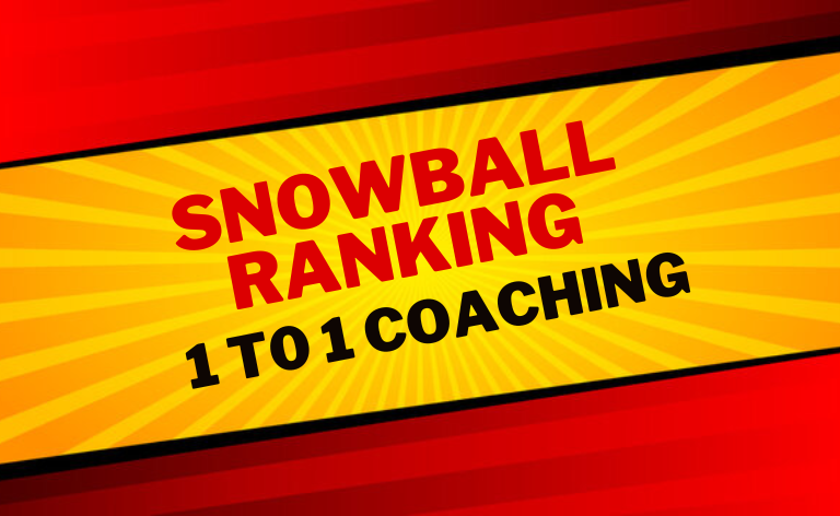 Snowball Ranking 1 To 1 Coaching
